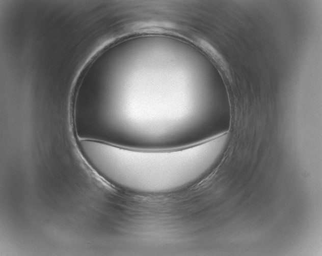X0000073931384200608111014