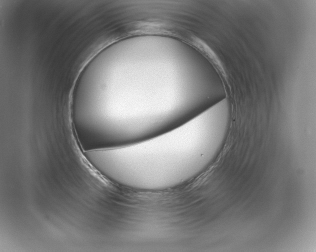 X0000073931386200608111014