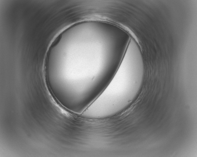 X0000073931387200608111014