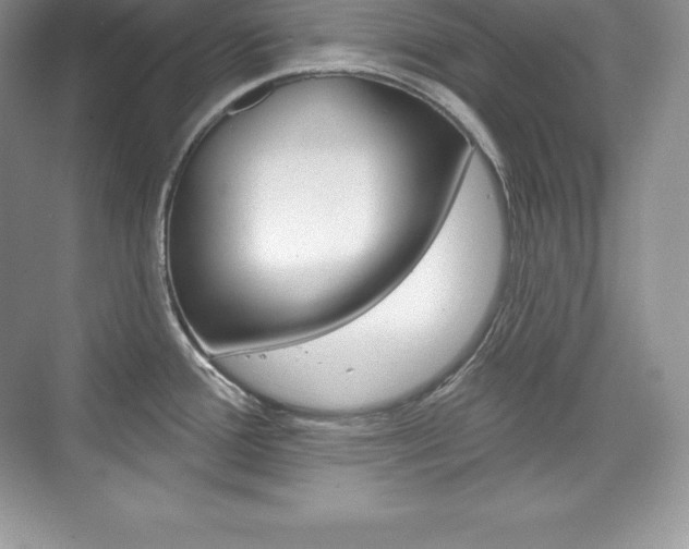 X0000073931388200608111014