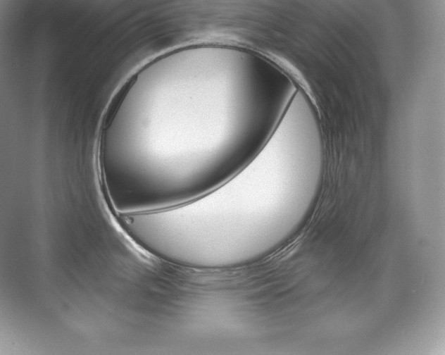 X0000073931391200608111014