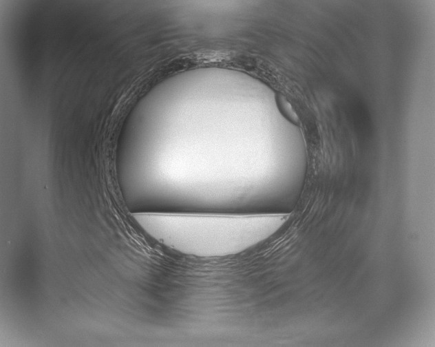 X0000073931393200608111013