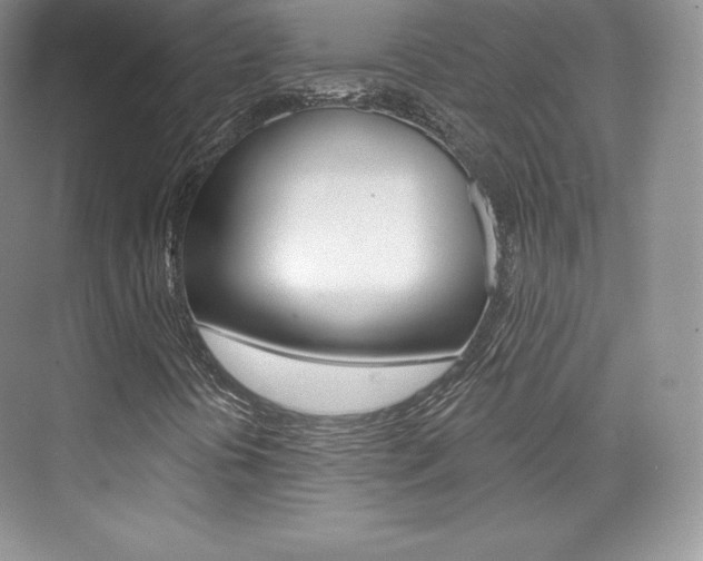 X0000073931394200608111013