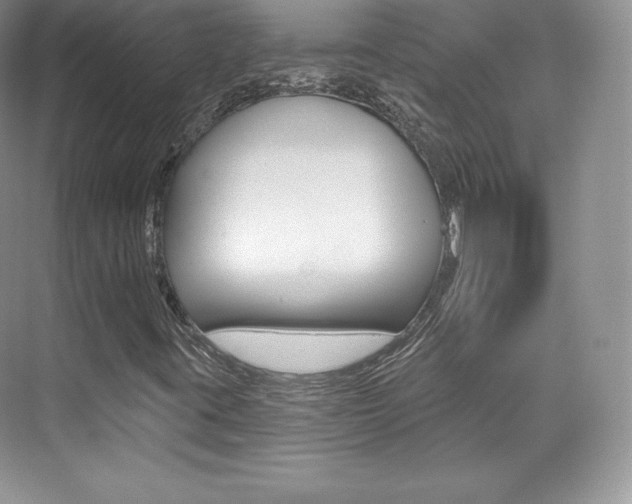 X0000073931395200608111013