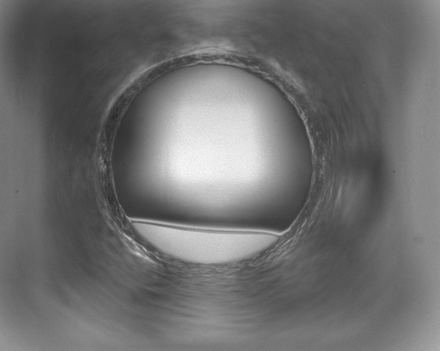 X0000073931400200608111013