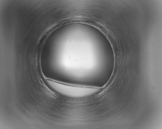 X0000073931402200608111014