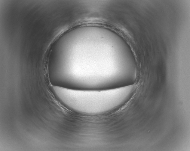 X0000073931405200608111014