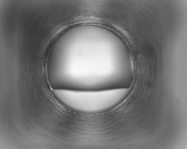 X0000073931407200608111014