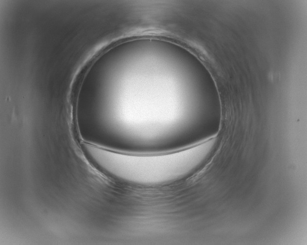 X0000073931414200608111014