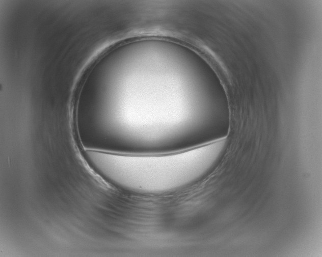 X0000073931416200608111014