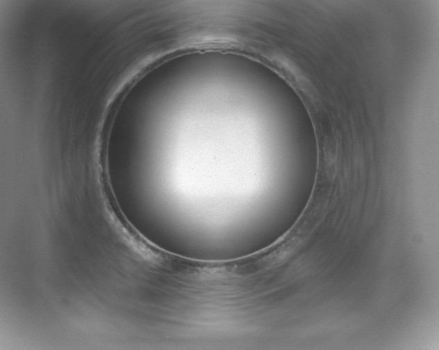 X0000073931422200608111014
