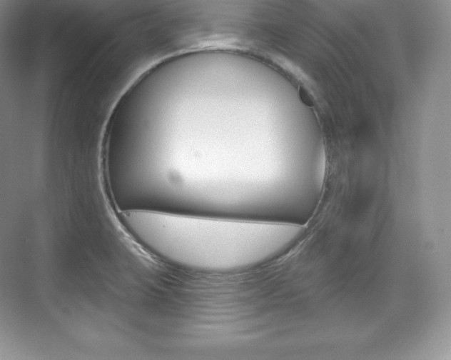 X0000073931423200608111014