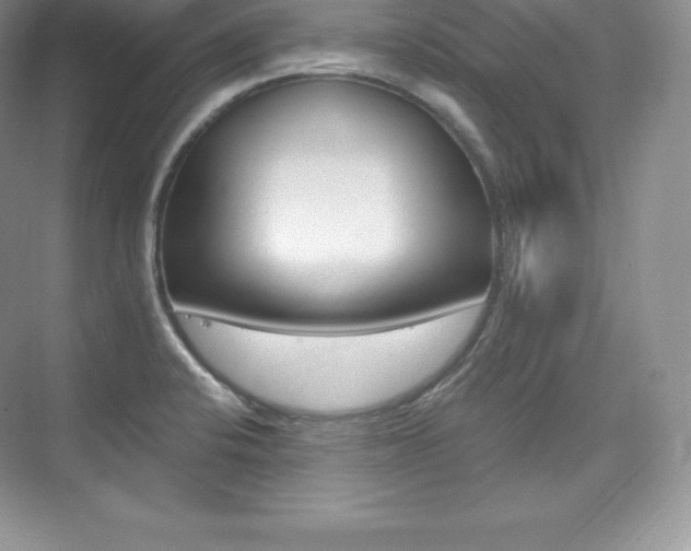 X0000073931424200608111014