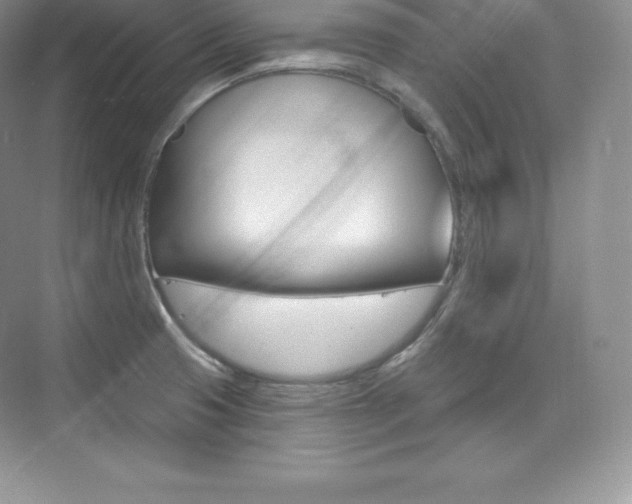 X0000073931425200608111014