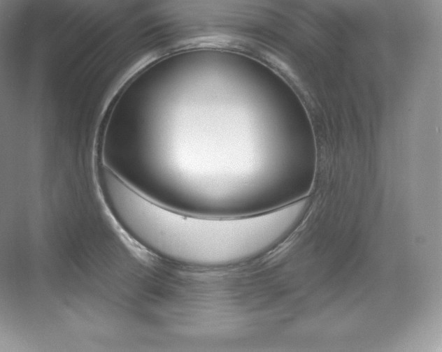 X0000073931426200608111014
