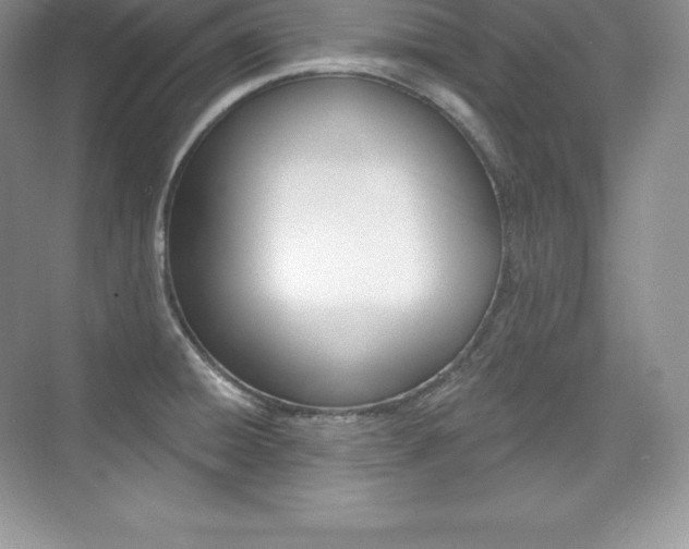X0000073931428200608111014
