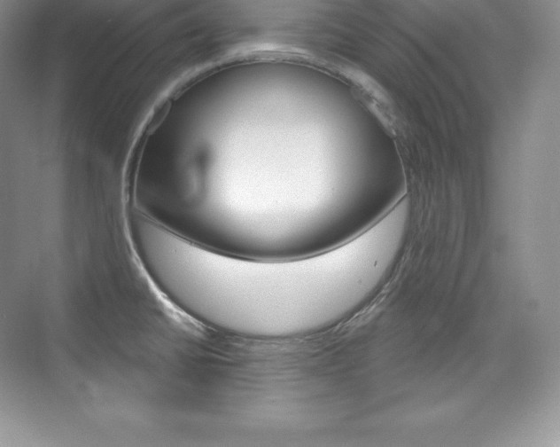 X0000073931430200608111014
