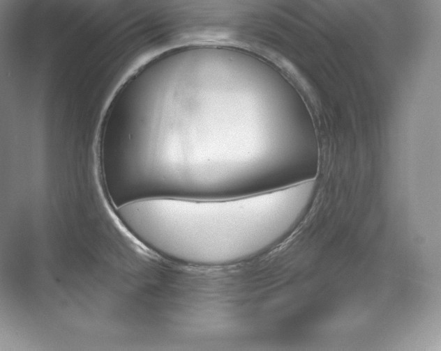 X0000073931432200608111014