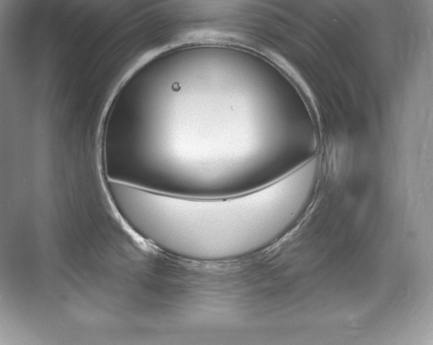 X0000073931437200608111014