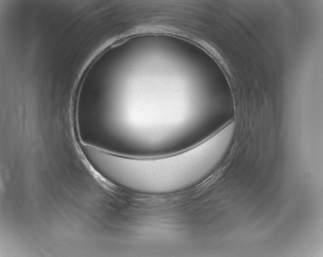 X0000073931438200608111014