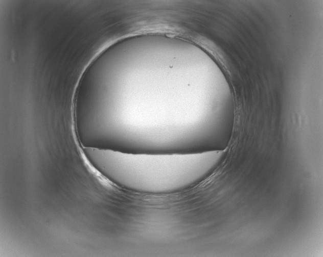 X0000073931439200608111014