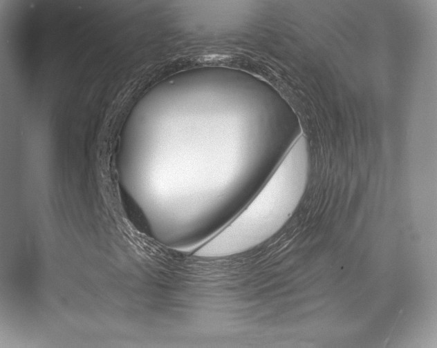 X0000073931441200608111013