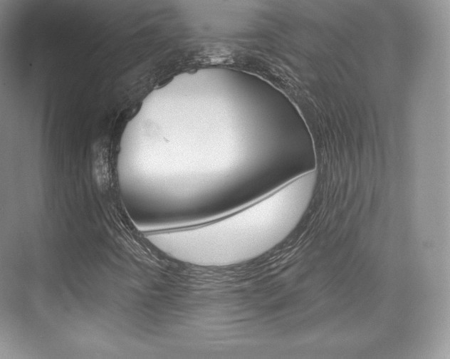 X0000073931442200608111013