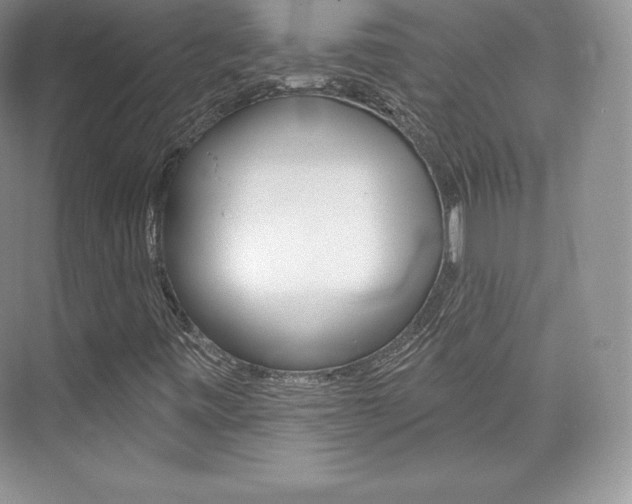 X0000073931443200608111013
