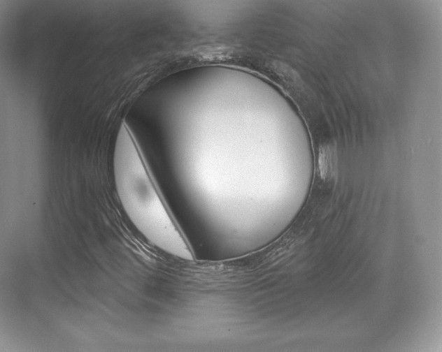 X0000073931444200608111013