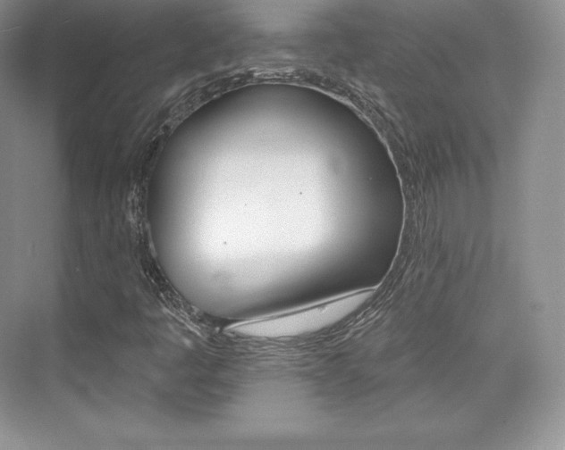 X0000073931445200608111013