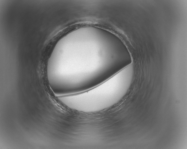 X0000073931448200608111013