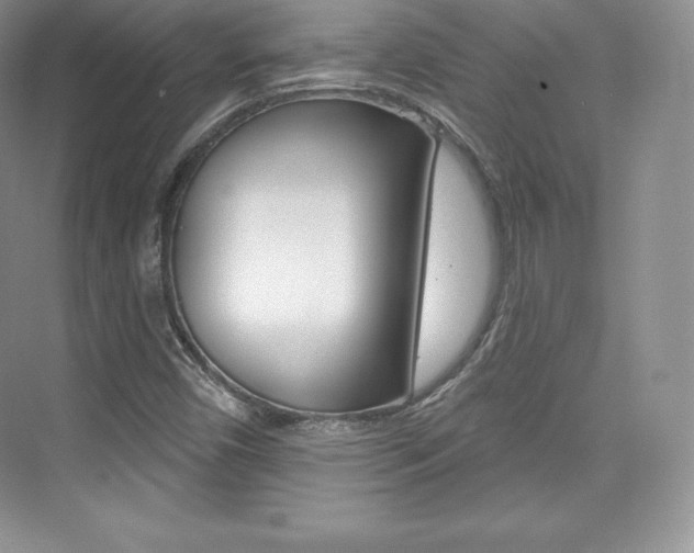 X0000073931450200608111013