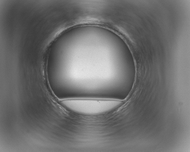 X0000073931455200608111013