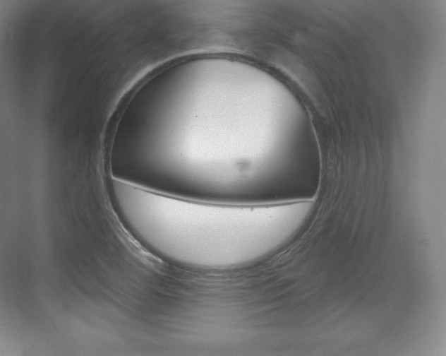 X0000073931460200608111013
