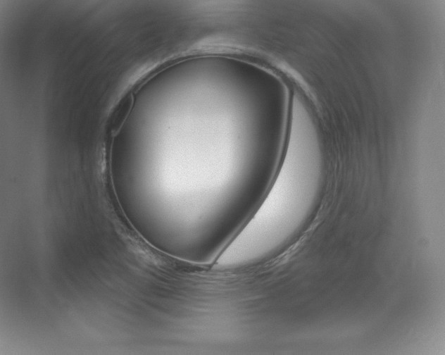 X0000073931461200608111013