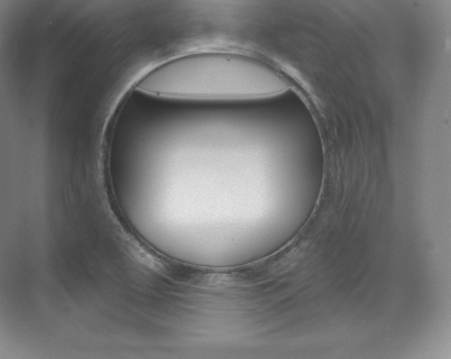 X0000073931463200608111013