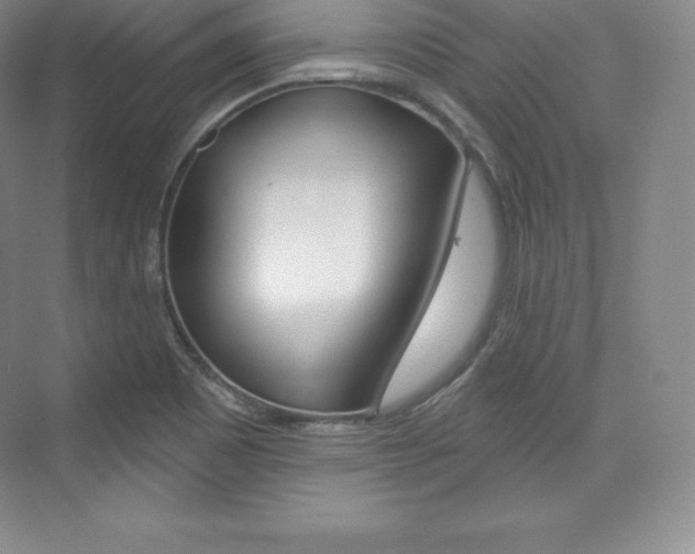 X0000073931465200608111013