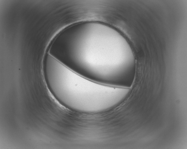 X0000073931468200608111013