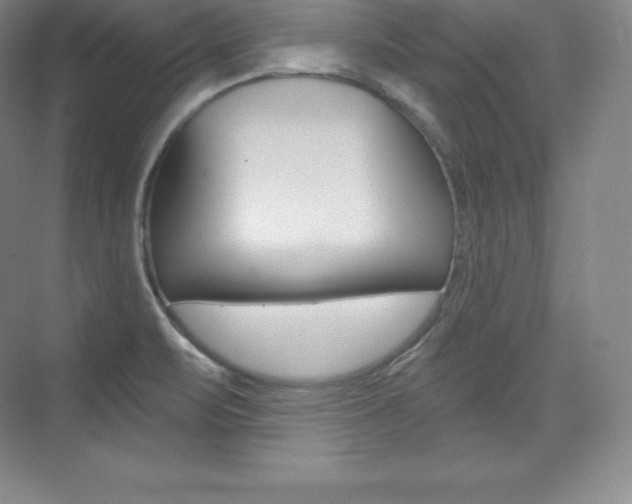 X0000073931471200608111013