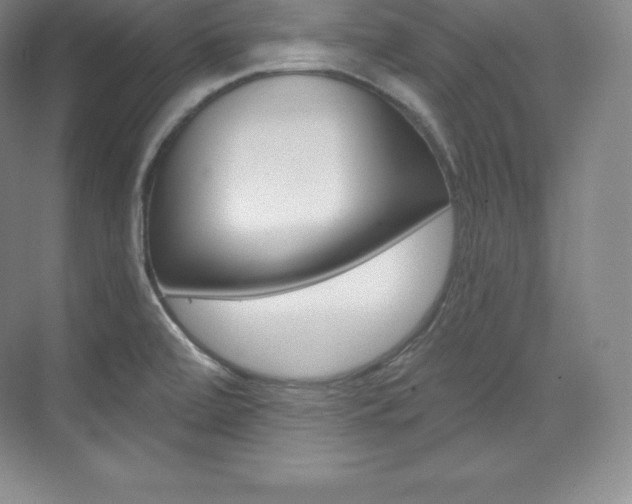 X0000073931472200608111013