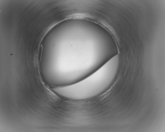 X0000073931473200608111013
