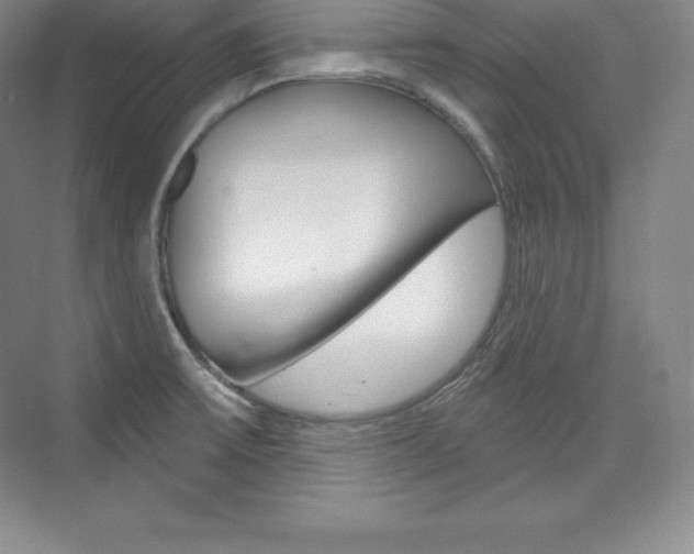 X0000073931475200608111013
