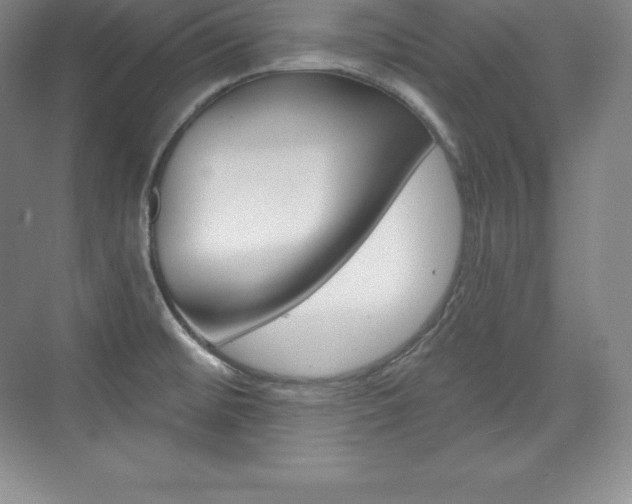 X0000073931476200608111013