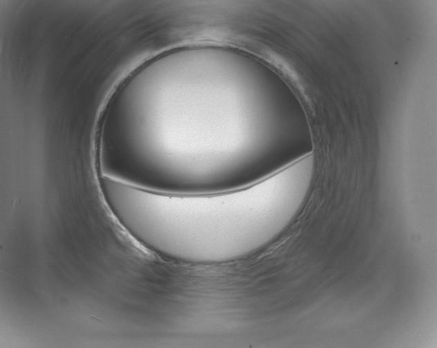X0000073931480200608111013