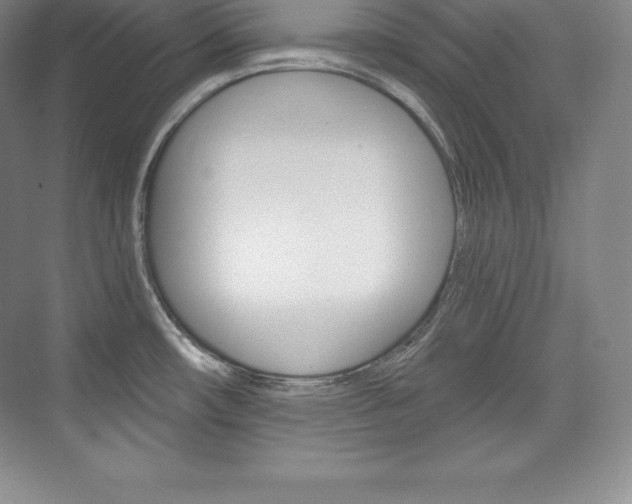 X0000073931482200608111013