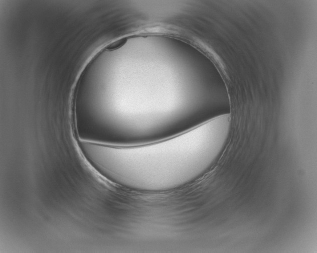 X0000073931483200608111013