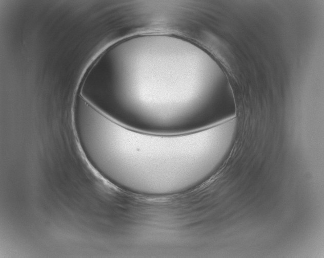X0000073931484200608111013