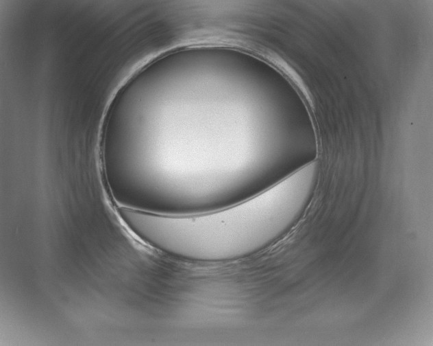X0000073931485200608111013