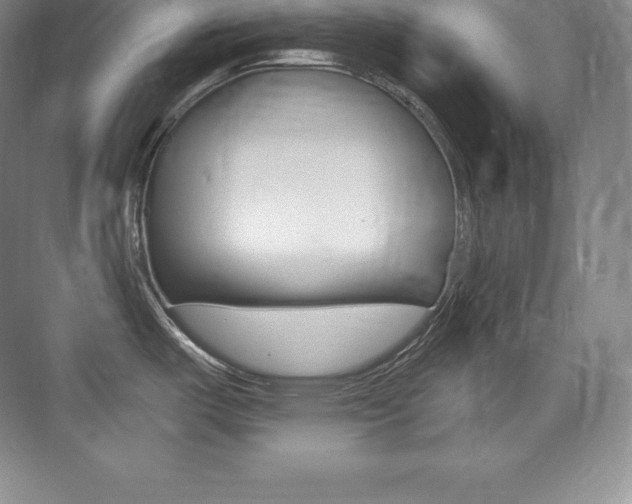 X0000073931487200608111013