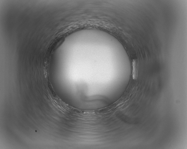 X0000073931491200608111012